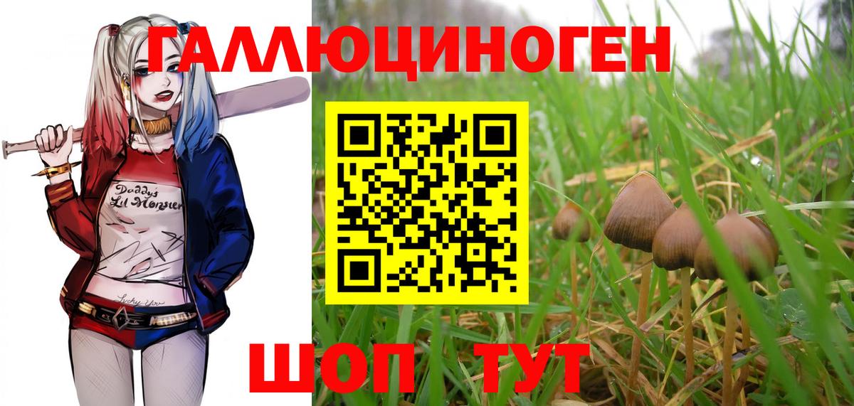 Галлюциногенные грибы мицелий  где можно купить наркотик  Галлюциногенные грибы прущие грибы  Пенза  Вход с VPN 